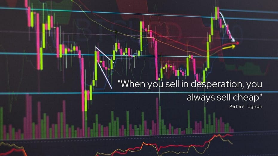 When you sell in desperation, you always sell cheap by Peter Lynch